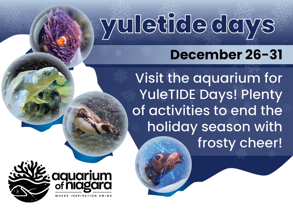 Yuletide Days Calendar Slide.jpg