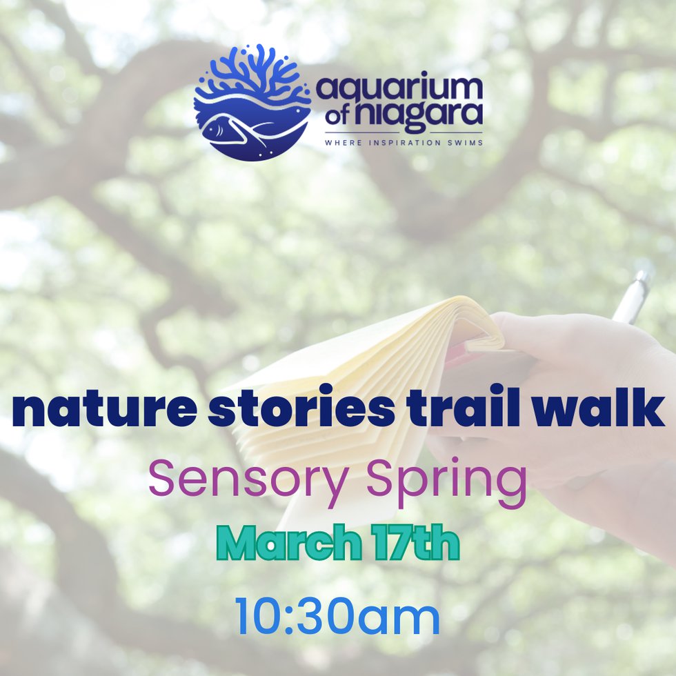 Nature Stories Trail Walk.png
