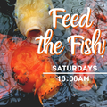 Feed the Fish 10am.png