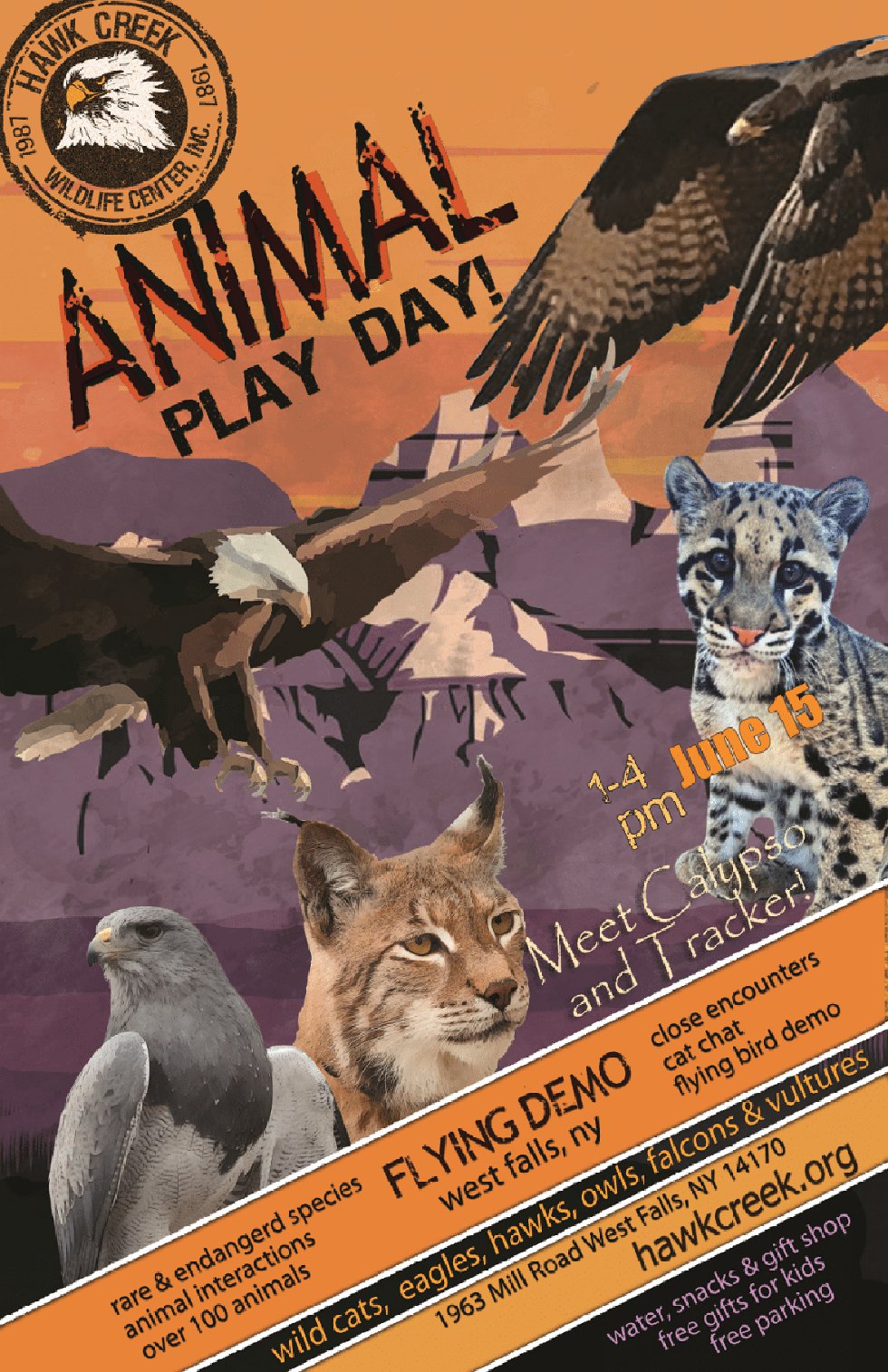 Animal Play Day 2024 Adj.png